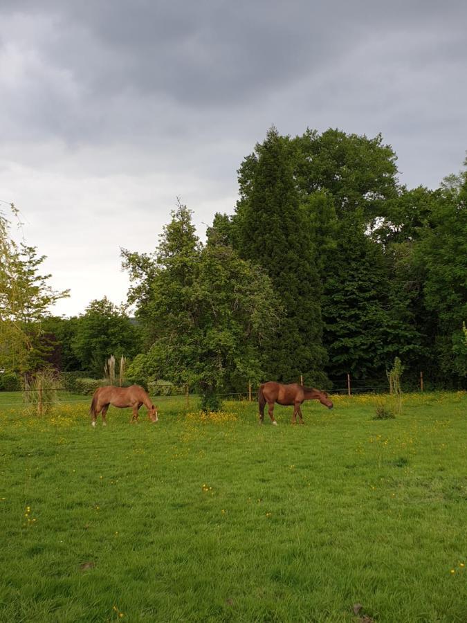Chambre D'Hote Normande Freneuse-Sur-Risle Bagian luar foto